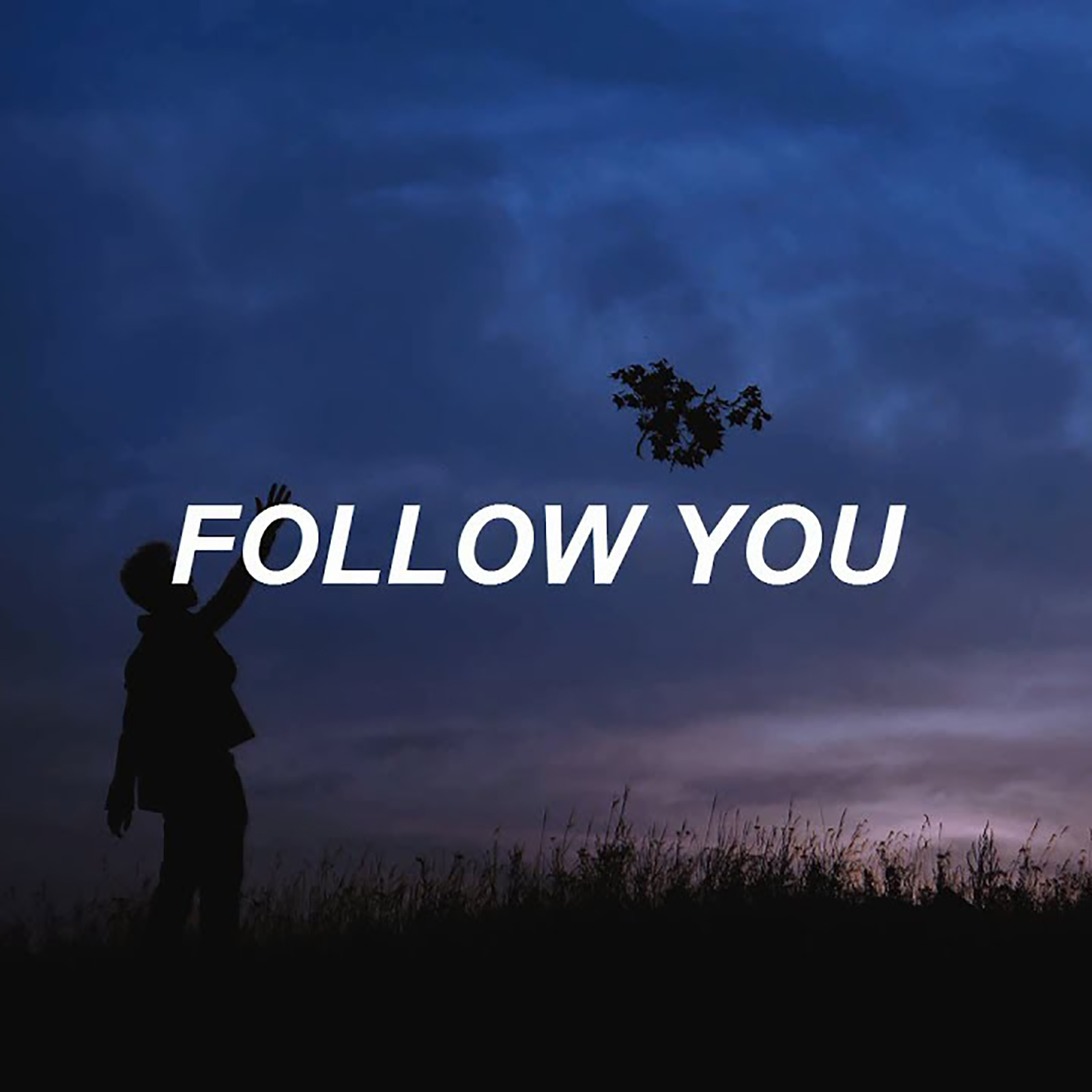 I am follow you