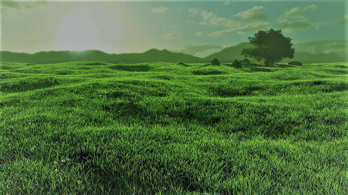 Трава поле. Трава в перспективе. Зеленое поле. Зеленые Луга. Т рава
